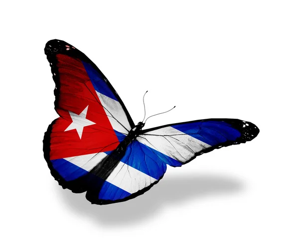古巴国旗蝴蝶飞，孤立在白色背景 — 图库照片