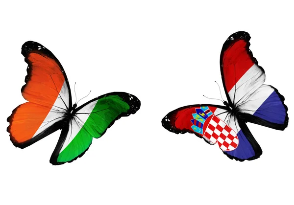 Conceito - duas borboletas com bandeiras irlandesas e croatas voando — Fotografia de Stock