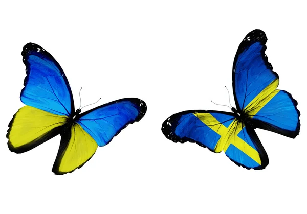 コンセプト - flyin ウクライナ語およびスウェーデン語のフラグを持つ 2 つの蝶 — ストック写真