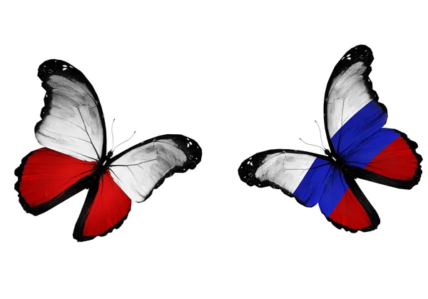 Koncepcja - dwa motyle z Polski i rosyjski flagi pływające — Zdjęcie stockowe