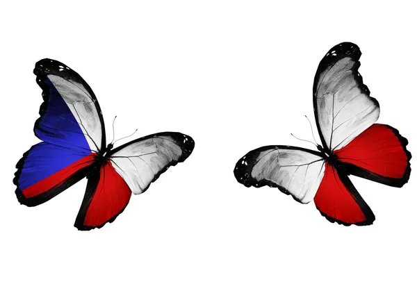 Koncept - dva motýli s České a polské vlajky vlají — Stock fotografie