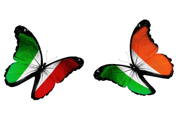Concept - twee vlinders met Italiaanse en Ierse vlag — Stockfoto