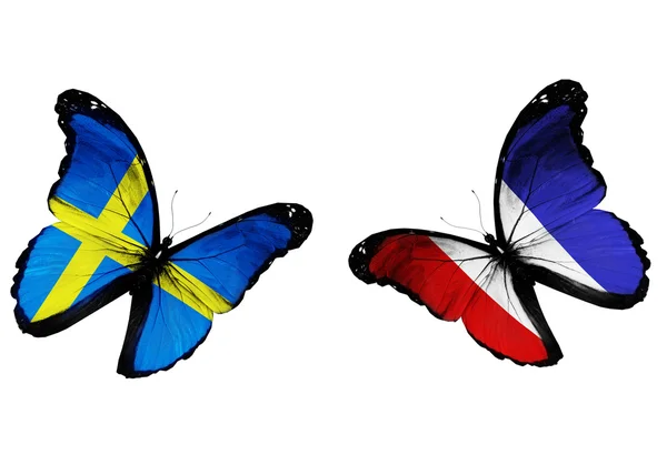 Koncepcja - dwa motyle flagami szwedzki i francuski pływające — Zdjęcie stockowe