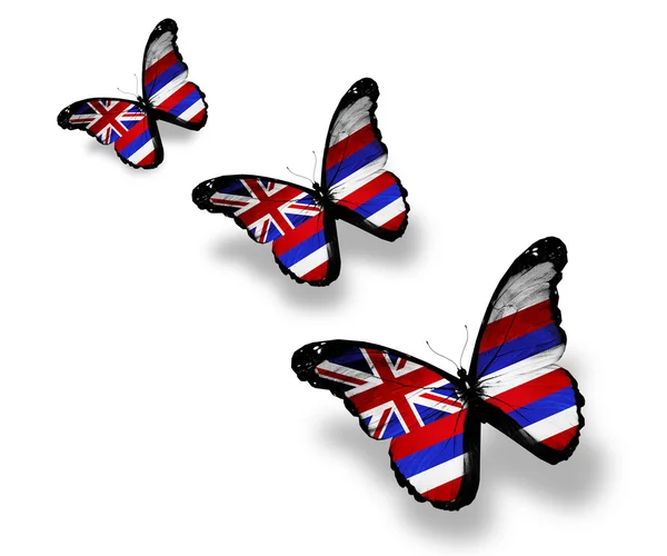 Trois papillons du drapeau hawaïen, isolés sur du blanc — Photo