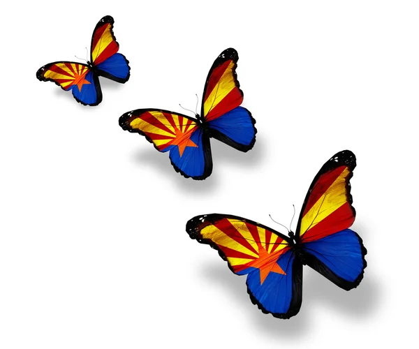 Beyaz izole üç arizona bayrak kelebekler — Stok fotoğraf