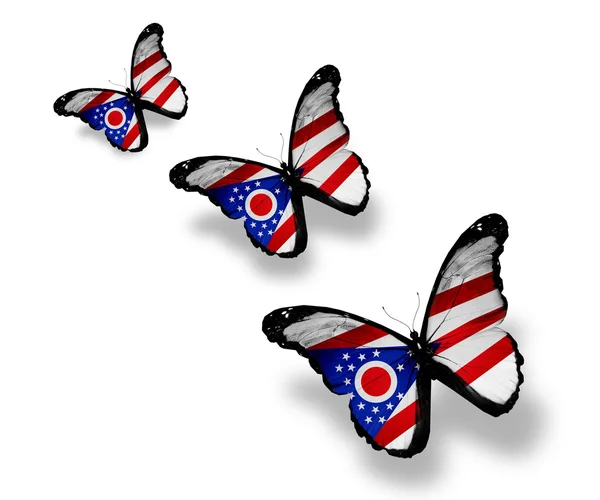 Trois papillons drapeau de l'Ohio, isolés sur blanc — Photo