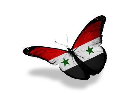 Suriye bayrağı kelebek uçuyor, izole üzerinde beyaz arka plan