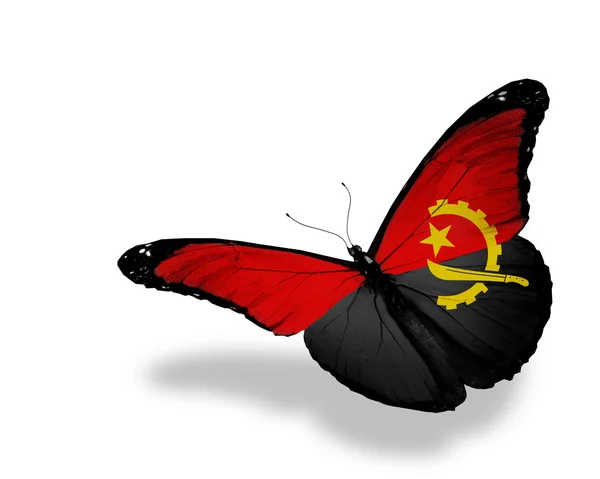 Angolese vlag vlinder vliegen, geïsoleerde op witte achtergrond — Stockfoto