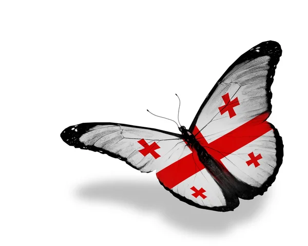 格鲁吉亚国旗蝴蝶飞，孤立在白色背景 — 图库照片