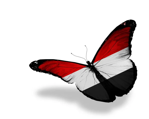 Mariposa bandera yemení volando, aislada sobre fondo blanco — Foto de Stock