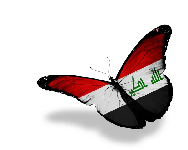 Σημαία του Ιράκ πεταλούδα που φέρουν, απομονωμένα σε λευκό φόντο — Φωτογραφία Αρχείου
