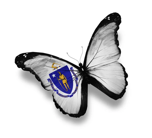 stock image Massachusetts flag butterfly, isolated on white