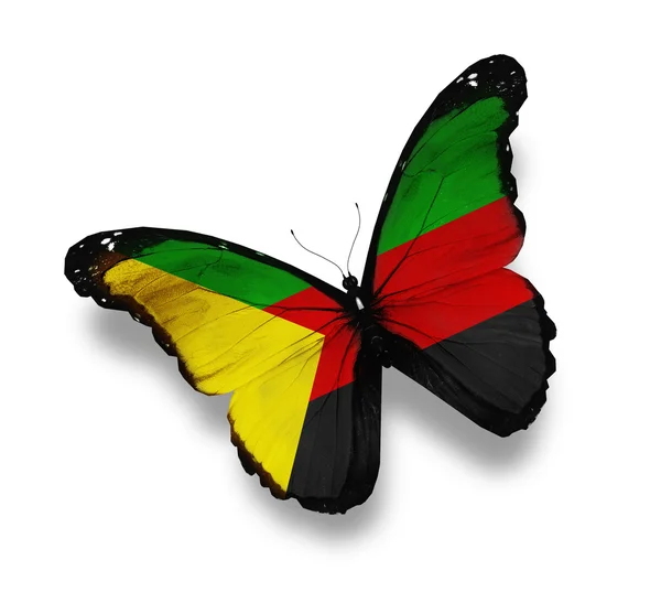 Azawad Fahne Schmetterling, isoliert auf weiß — Stockfoto