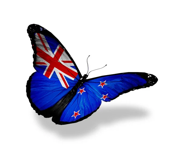 Mariposa bandera de Nueva Zelanda volando, aislada sobre fondo blanco — Foto de Stock