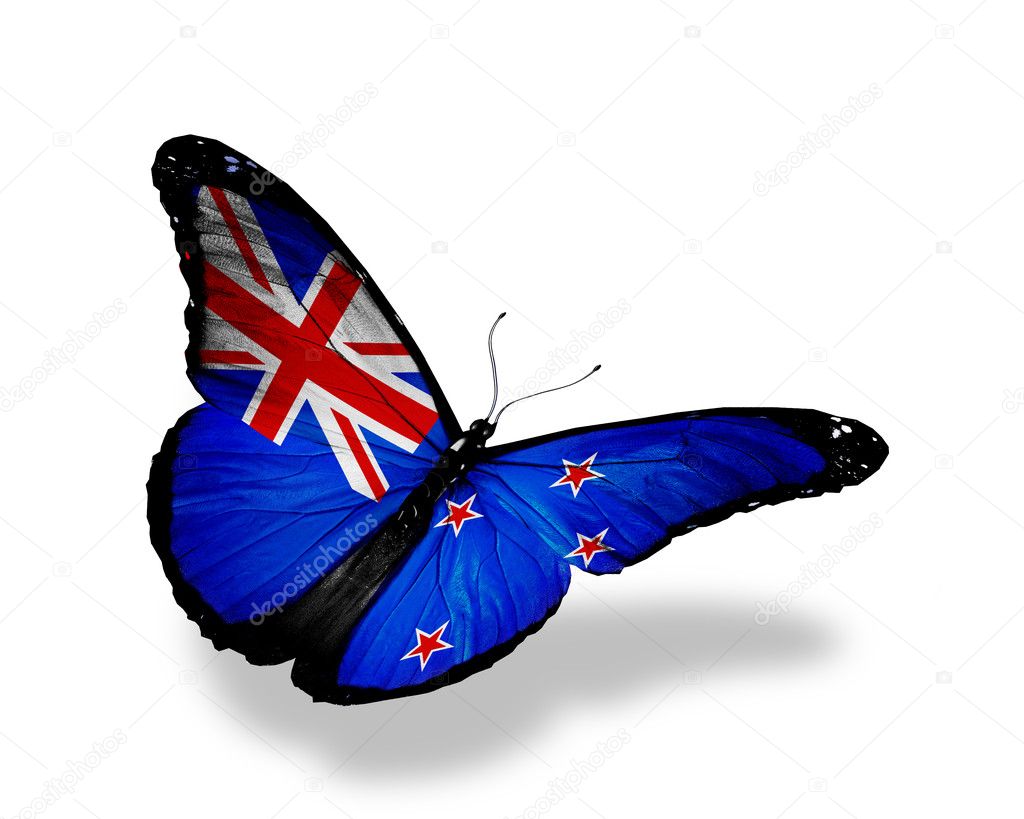 New Zealand flag butterfly flying, isolated on white background Stock