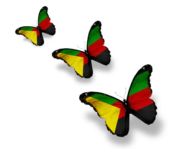 Trois papillons drapeau azawad, isolés sur blanc — Photo