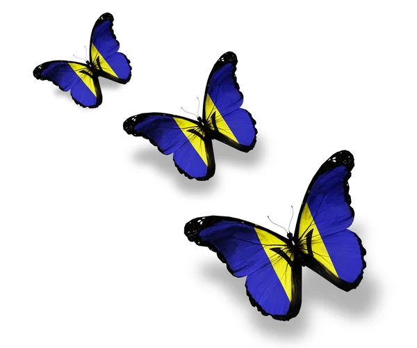 Three Barbados flag butterflies, isolated on white — Stock Photo, Image