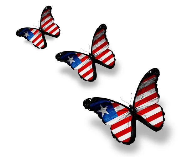 Three Liberia flag butterflies, isolated on white — Stock Photo, Image