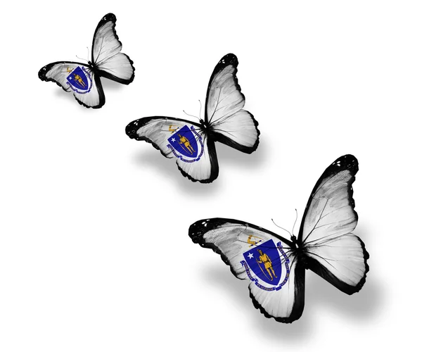 Tre massachusetts flagga fjärilar, isolerad på vit — Stockfoto