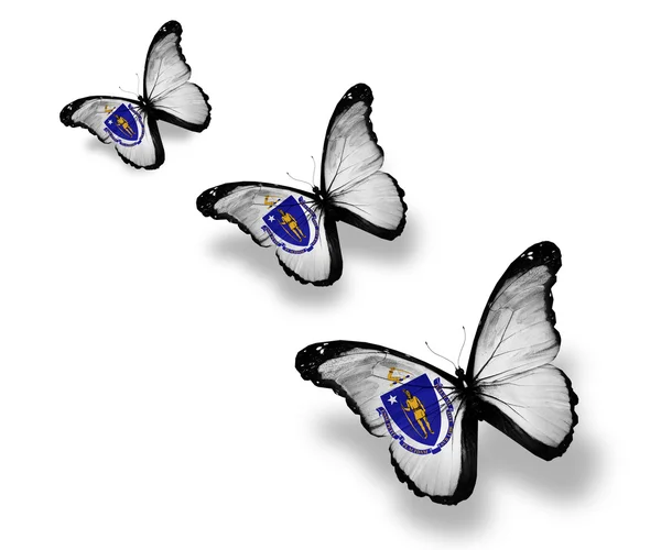 stock image Three Massachusetts flag butterflies, isolated on white