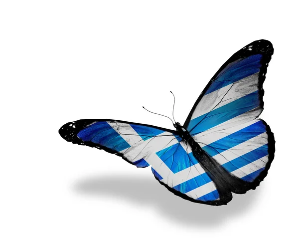 Grekisk flagg fjäril flyger, isolerade på vit bakgrund — Stockfoto