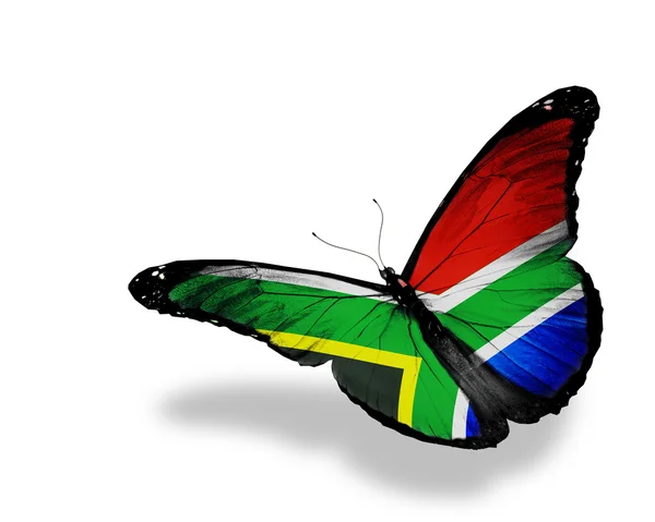 Zuid-Afrika vlag vlinder vliegen, geïsoleerde op witte achtergrond — Stockfoto