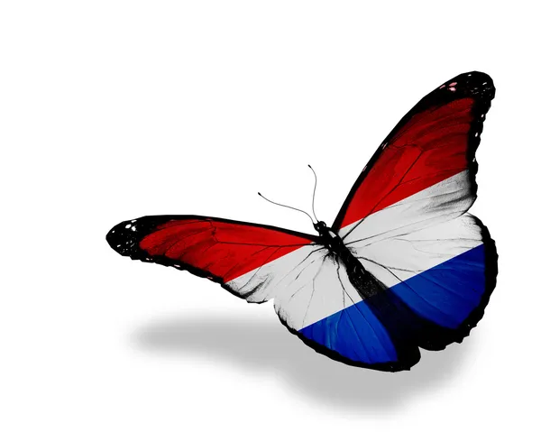 ネーデルランド フラグ蝶の飛行の分離白背景 — ストック写真
