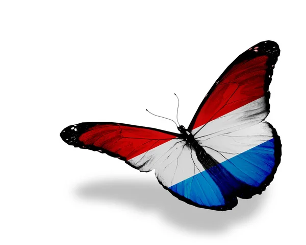 Lüksemburg bayrağı kelebek uçuyor, izole üzerinde beyaz arka plan — Stok fotoğraf