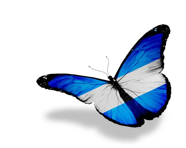 阿根廷国旗蝴蝶飞，孤立在白色背景 — 图库照片