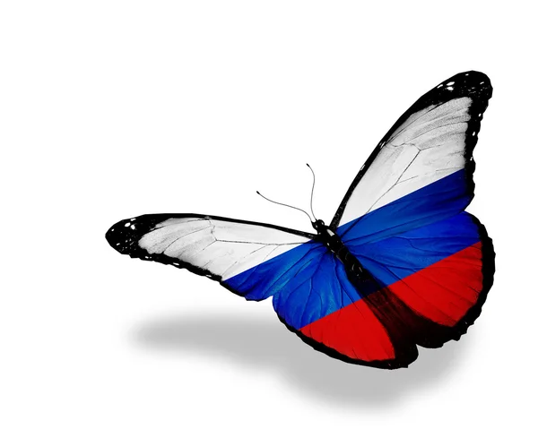 Bandiera russa farfalla in volo, isolata su sfondo bianco — Foto Stock