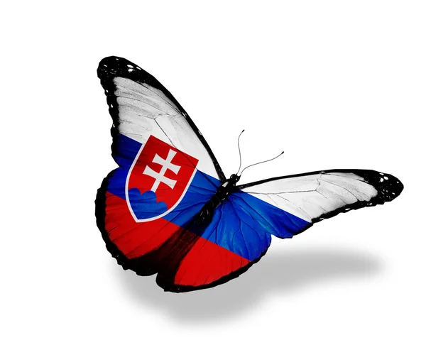 Bandeira eslovaca borboleta voando, isolado no fundo branco — Fotografia de Stock
