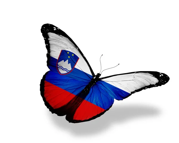 Словенська прапор метелик політ, ізольовані на білому фоні — стокове фото