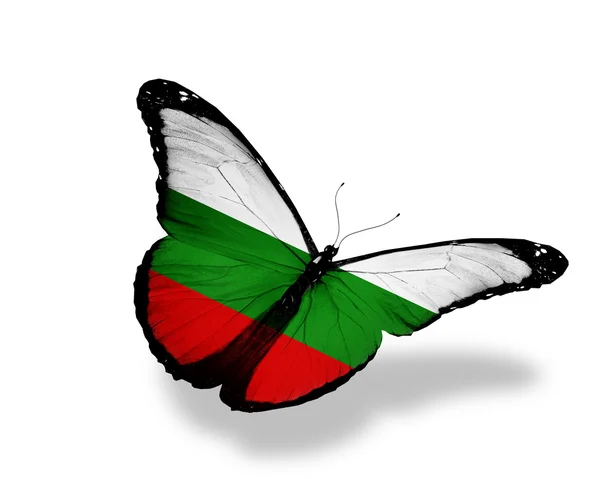 Болгарский флаг бабочка летит, изолированные на белом фоне — стоковое фото