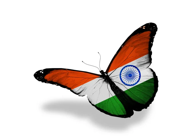 Hindistan bayrağı kelebek uçuyor, izole üzerinde beyaz arka plan — Stok fotoğraf