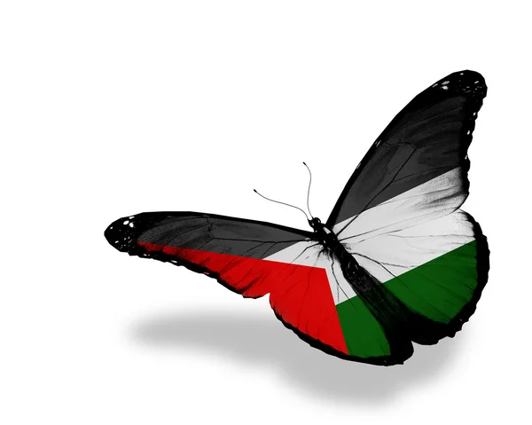 Палестинский флаг бабочка летит, изолированные на белом фоне — стоковое фото