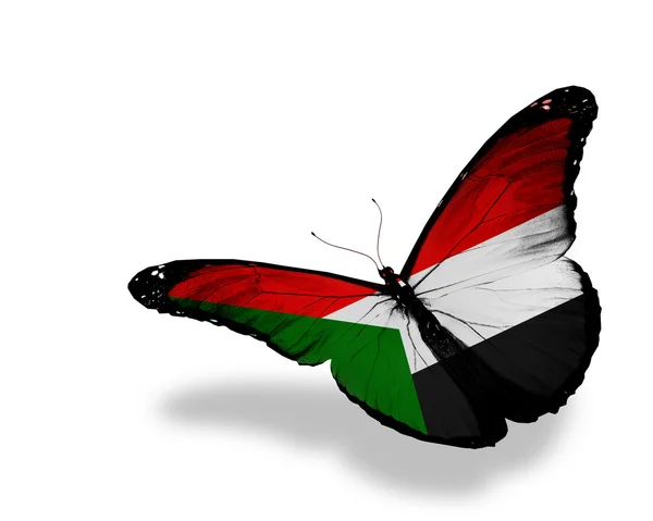 Súdánská vlajka motýl létání, izolované na bílém pozadí — Stock fotografie