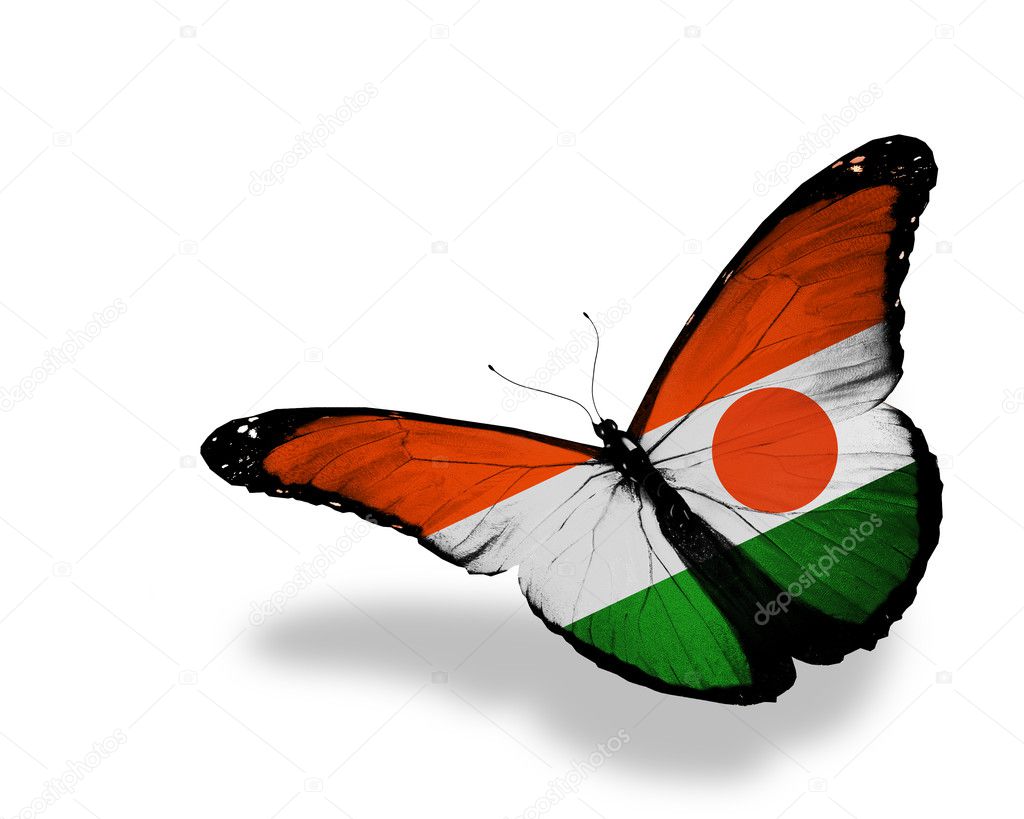 Niger flag butterfly flying, isolated on white background