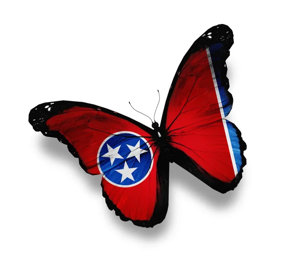 テネシー州の旗蝶、白で隔離されます。 — ストック写真