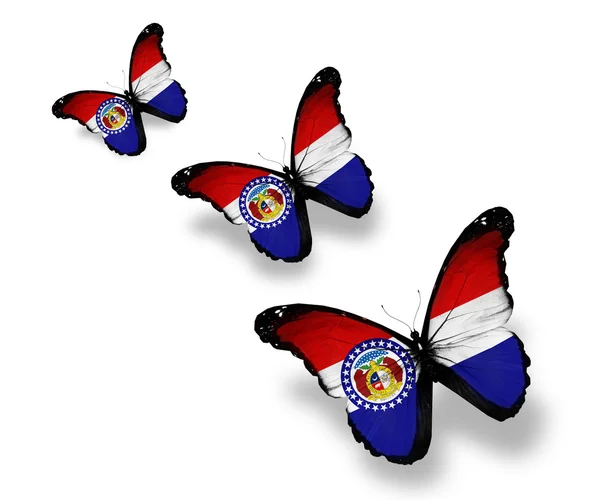 三个密苏里州旗被隔绝在白色的蝴蝶 — 图库照片