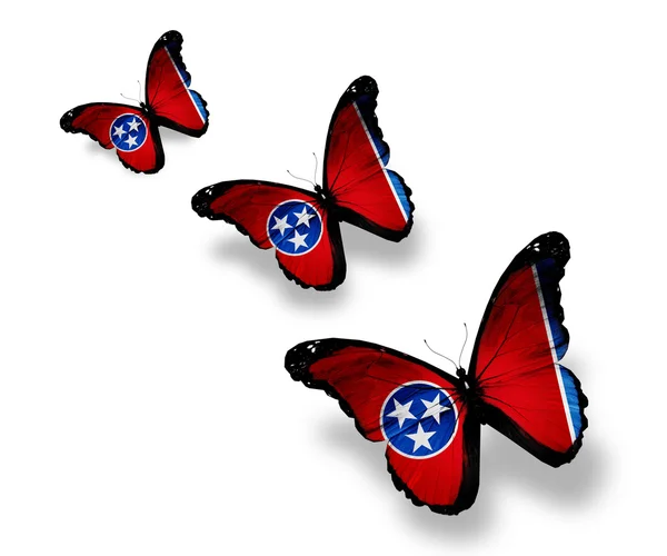 3 テネシー州の旗の蝶、白で隔離されます。 — ストック写真