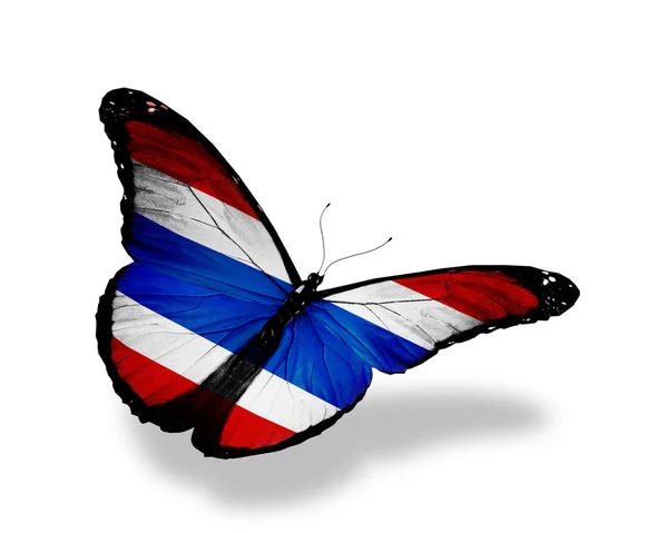 Bandeira tailandesa borboleta voando, isolado no fundo branco — Fotografia de Stock
