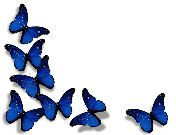 Bandeira do Alasca borboletas, isoladas sobre fundo branco — Fotografia de Stock