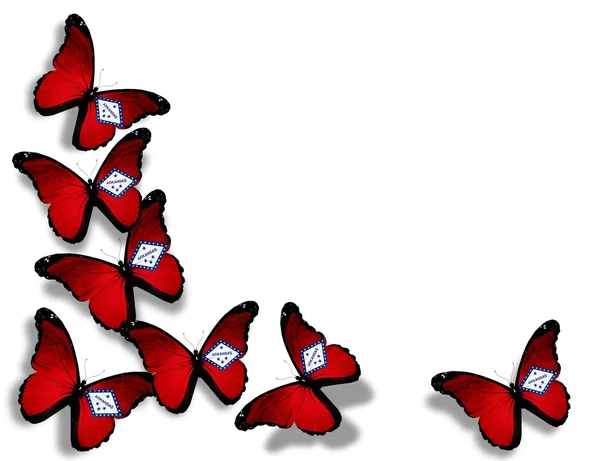 Mariposas bandera de Arkansas, aisladas sobre fondo blanco — Foto de Stock