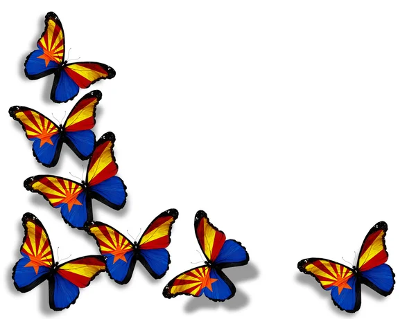 stock image Arizona flag butterflies, isolated on white background