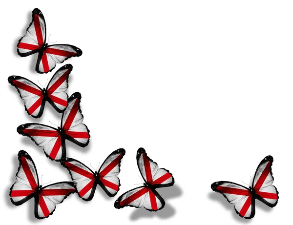 阿拉巴马州旗蝴蝶，在白色背景上孤立 — 图库照片