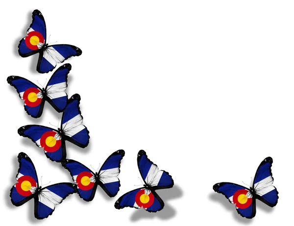 Флаг Колорадо бабочки, изолированные на белом фоне — стоковое фото