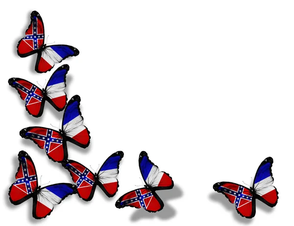 Stock image Mississippi flag butterflies, isolated on white background