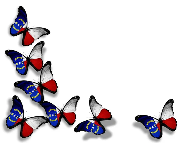Severní Karolína vlajky motýly, izolovaných na bílém pozadí — Stock fotografie