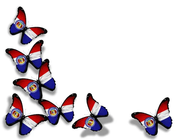 Missouri vlag vlinders, geïsoleerd op witte achtergrond — Stockfoto