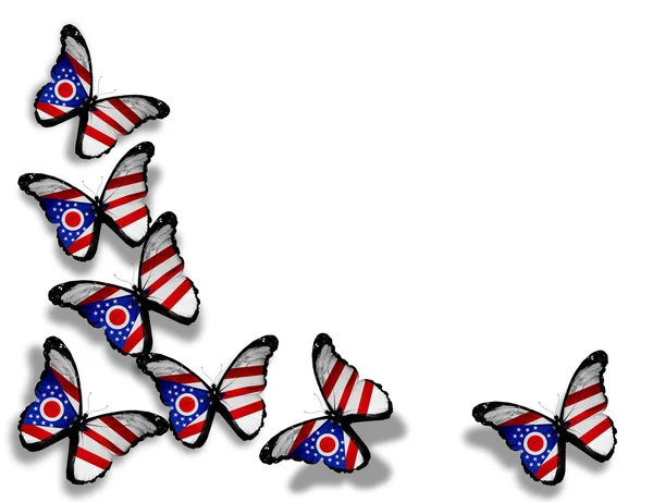 Ohio vlag vlinders, geïsoleerd op witte achtergrond — Stockfoto